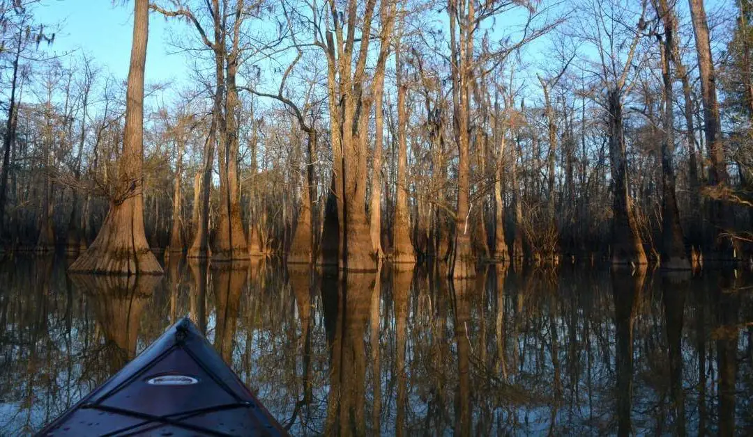 22 Best Places to Kayak in Texas