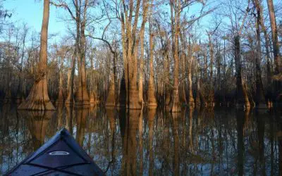 22 Best Places to Kayak in Texas