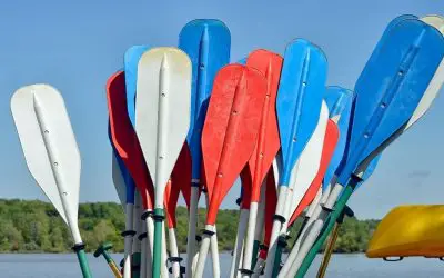 Best Beginner Kayak Paddles in 2022