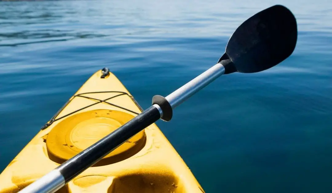 Best Kayaks Under $500 in 2022