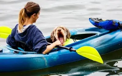 How to Kayak with a Dog