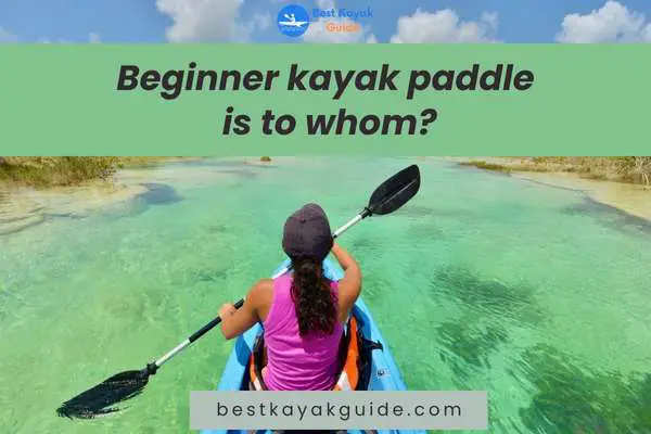 Best Beginner Kayak Paddles