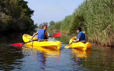 Can Kayaking Cause Tennis Elbow? Things You Need to Know About How to Avoid Tennis Elbow