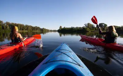 Can You Drink While Kayaking?
