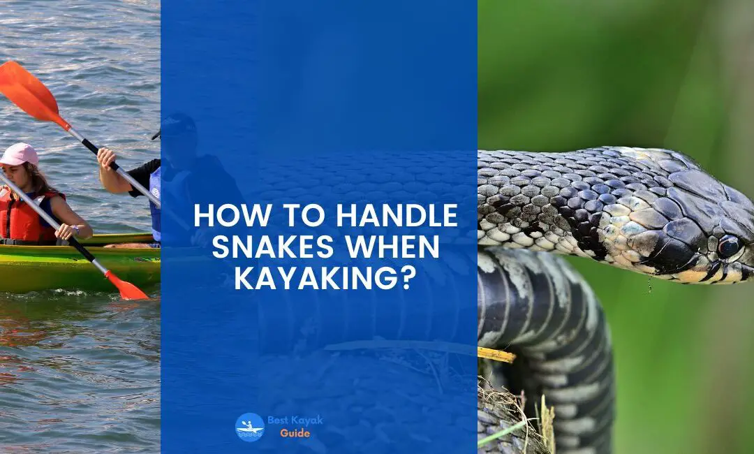How to Handle Snakes When Kayaking? Things You Should Know About Dealing With Snakes While Kayaking.