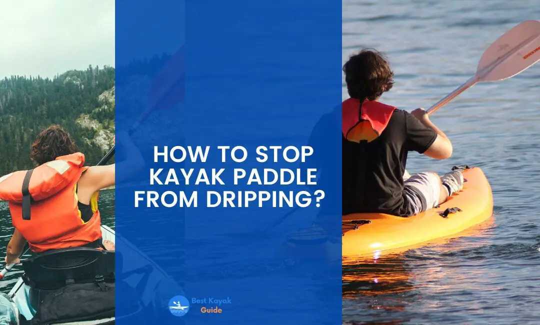 How to Stop Kayak Paddle From Dripping? Things You Should do to Avoid Paddle Dripping