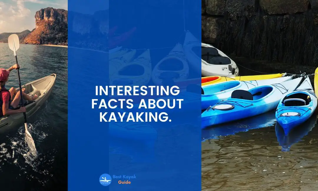 Interesting Facts About Kayaking. Things You Didn’t Know About Kayaking Before.